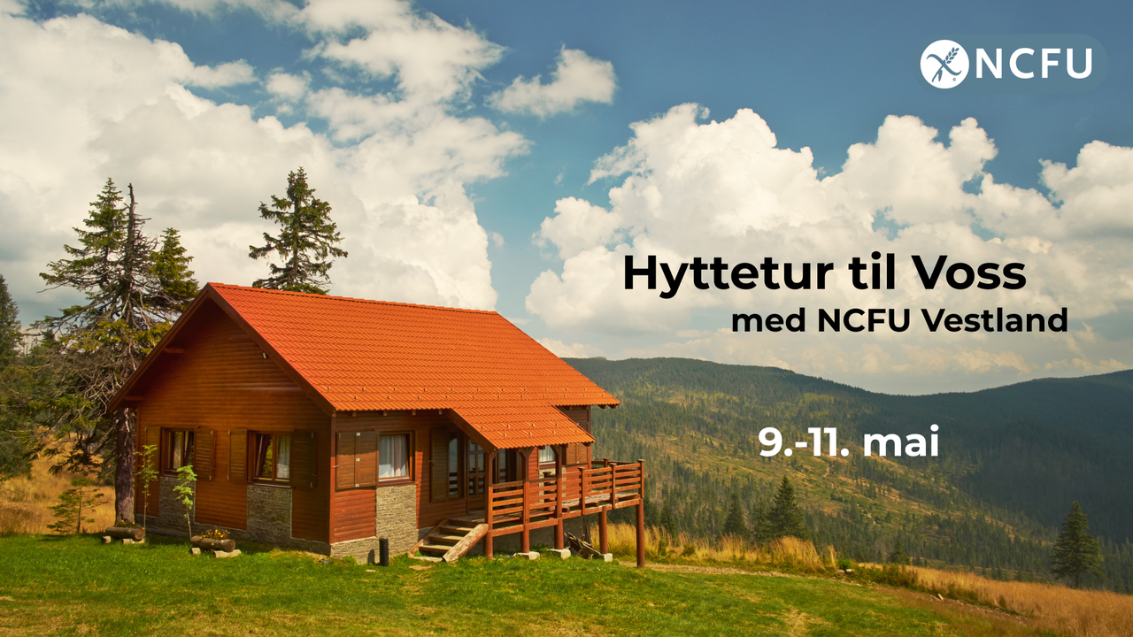 Hyttetur
