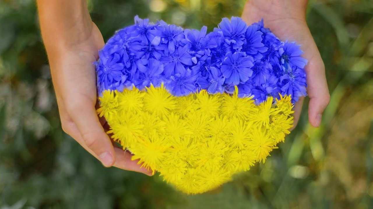 blomster-Ukraina_1200x500.jpeg