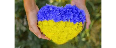 blomster Ukraina 1200x500
