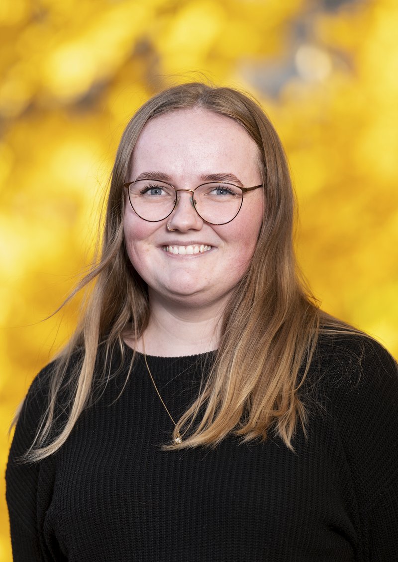 Vilde Stenåsen
